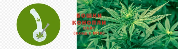 дживик Абаза