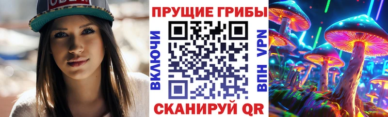 shop как зайти  Александров  Псилоцибиновые грибы GOLDEN TEACHER 