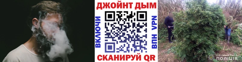 Конопля план  Александров 